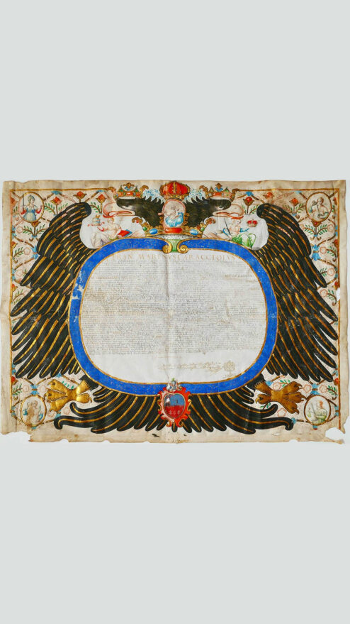 Francesco Marino Caracciolo Arcella, principe di Avellino e Gran Cancelliere del Regno, conferisce a Vito Lorenzo Gonnella di Turi in provincia di Bari il dottorato in diritto civile e canonico. La pergamena è splendidamente decorata. Una grande aquila bicipite con ali spiegate e impreziosite da alcune piume in oro, inserita in una cornice a motivi floreali, occupa l'intera superficie della membrana. 
Una miniatura raffigurante la Vergine con Bambino, coronata, sovrasta le teste.